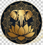 india magica tours logo